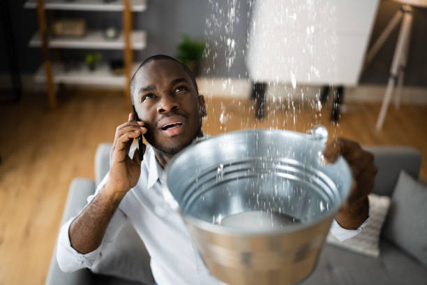 Best Flooded house restoration  in East Los Angeles, CA